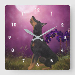 DobermannPinscher, der Mond-Tier-Kunst betrachtet Quadratische Wanduhr