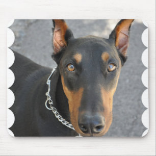 Dobermannpinscher-Mausunterlage Mousepad