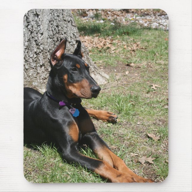 DobermannPinscher Mousepad (Vorne)