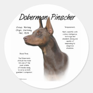 Dobermannpinscher-(roter) Geschichtsentwurf Runder Aufkleber