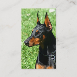 Dobermannpinscher-Visitenkarten Visitenkarte