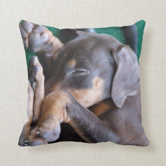 Dobermannpinscher-Welpen-Kissen Kissen