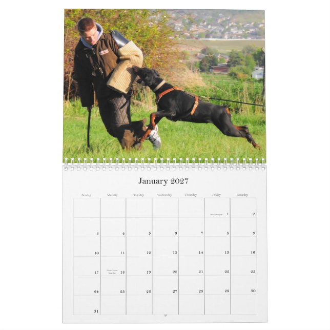 Dobermannschutzkalender Kalender (Jan 2027)