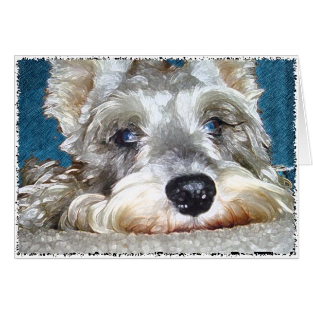 DOD: Mini German Schnauzer so Niedlich (Vorderseite (Horizontal))