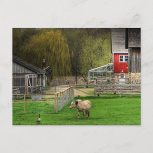 Dodge Nature Centre Postkarte