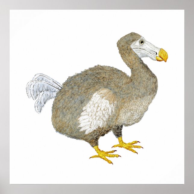 Dodo Bird Artwork Poster (Vorne)