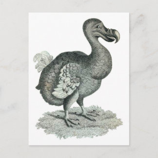 DoDo Bird Print Postkarte