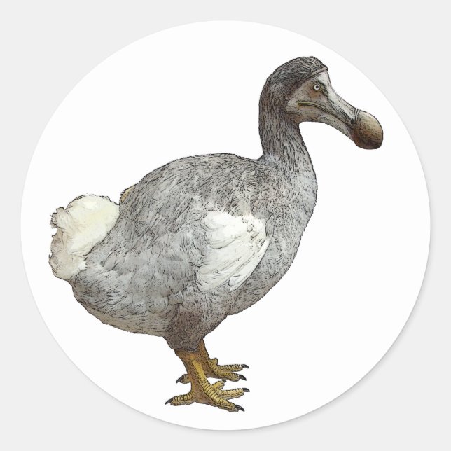 Dodo Bird Stickers (Vorderseite)