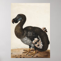 Dodo Bird Vintag Print