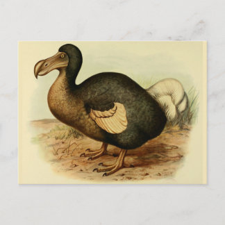 Dodo Postkarten