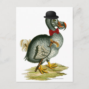 Dodo Wears Bowler Bow Krawatte Vintag Postkarte