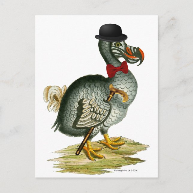 Dodo Wears Bowler Bow Krawatte Vintag Postkarte (Vorderseite)