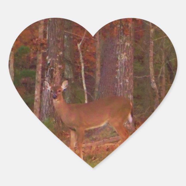 Doe a Deer im Arrowhad-See Herz-Aufkleber (Vorderseite)