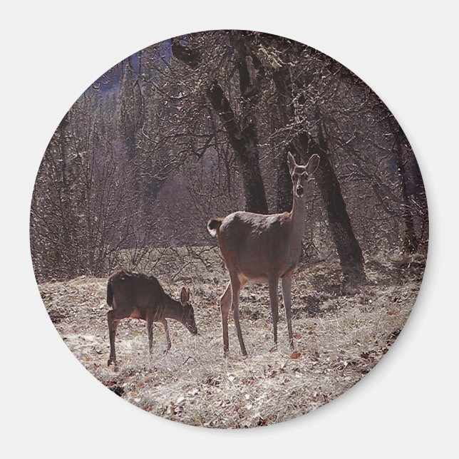 Doe and fawn... magnet (Vorne)
