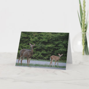 Doe & Fawn Karte