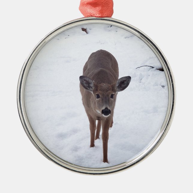 Doe ire im Schnee Montana Naturfotografie Ornament Aus Metall (Vorne)