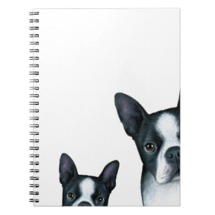 dog 128 Boston Terrier Notizblock