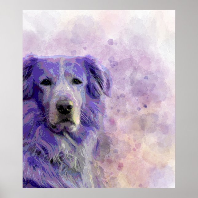 Dog 140 Golden Retriever Poster (Vorne)