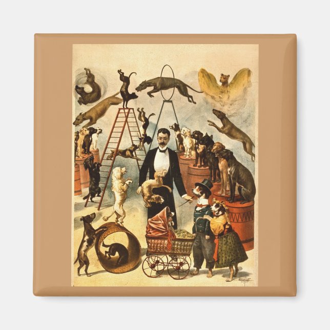 Dog Act 1899 - Vintages Circus Act Poster Magnet (Vorne)