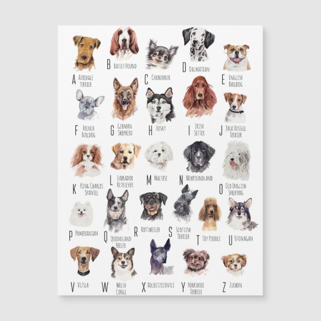 Dog Alphabet Watercolor Magnetkarte (Vorderseite)