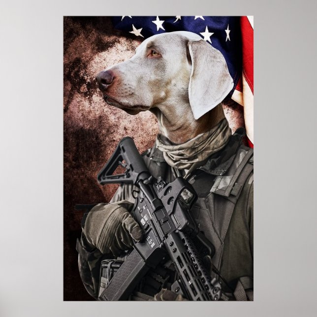 Dog American Flag Poster (Vorne)