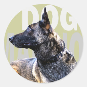 dog aus Mecheln chinierte Runder Aufkleber