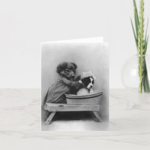 Dog Bathing Hund Karte
