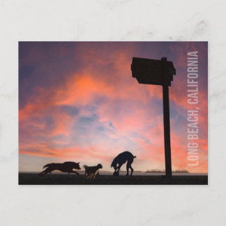 Dog Beach bei Sunset - Long Beach, Kalifornien Postkarte