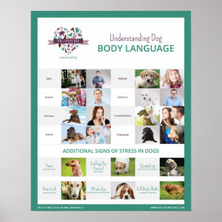Dog Body Language 16 x 20 Poster verstehen