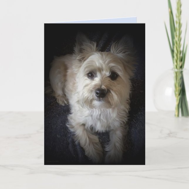 Dog Cairn Terrier "Amoureux des chiens" Carte de v (Devant)