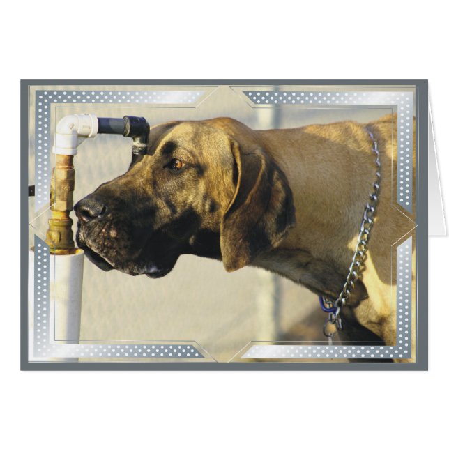 Dog Cards Great Dane (Vorderseite (Horizontal))