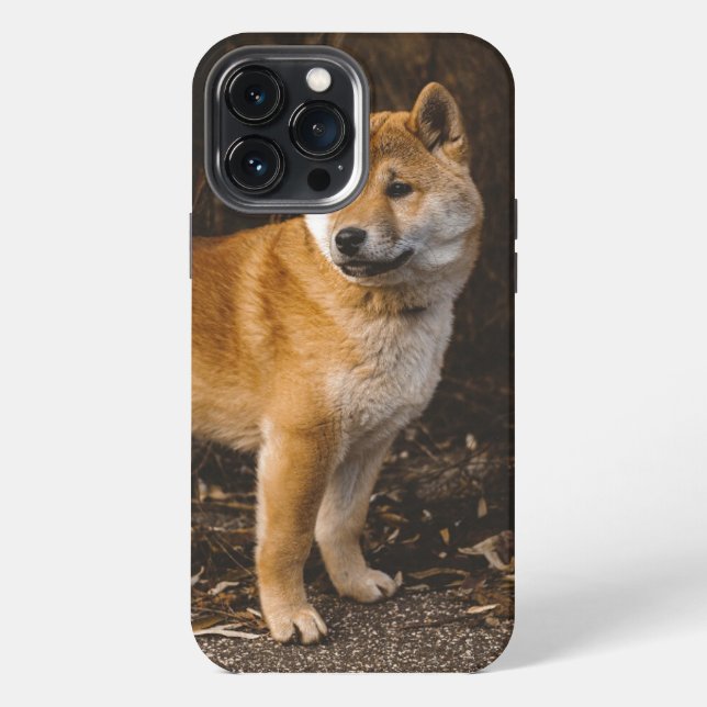 Dog Case-Mate iPhone Case 13 Pro Max Hülle (Rückseite)