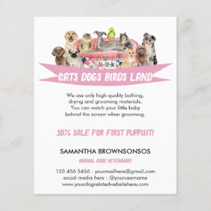 Dog Cat Bird Hotel Sofa Haustiere Sitzungsdienste Flyer