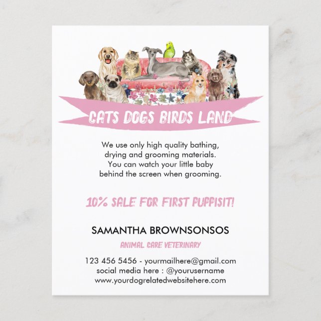 Dog Cat Bird Hotel Sofa Haustiere Sitzungsdienste Flyer (Vorne)