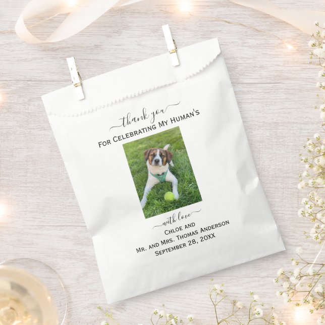 Dog Cat Foto Mein menschliches Dankeschön für Hoch Geschenktütchen (Ausgeschnitten)