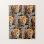 Dog Cat Foto Spaß individuell anpassen<br><div class="desc">Dieses Design wurde durch digitale Kunst erstellt und kann personalisiert werden, indem Sie auf den Knopf Anpassen klicken und die Farbe ändern, einen Namen, Initialen oder Ihre Lieblingssprache hinzufügen. Kontaktieren Sie mich unter colorflowcreations@gmail.com , wenn Sie dieses Design für ein anderes Produkt haben möchten. Kaufen Sie meine originale abstrakte Acrylmalerei...</div>
