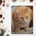 Dog Cat Foto Template Fun personalisieren Benutzer<br><div class="desc">Dieses Design wurde durch digitale Kunst erstellt und kann personalisiert werden, indem Sie auf den Knopf Anpassen klicken und die Farbe ändern, einen Namen, Initialen oder Ihre Lieblingssprache hinzufügen. Kontaktieren Sie mich unter colorflowcreations@gmail.com , wenn Sie dieses Design für ein anderes Produkt haben möchten. Kaufen Sie meine originale abstrakte Acrylmalerei...</div>
