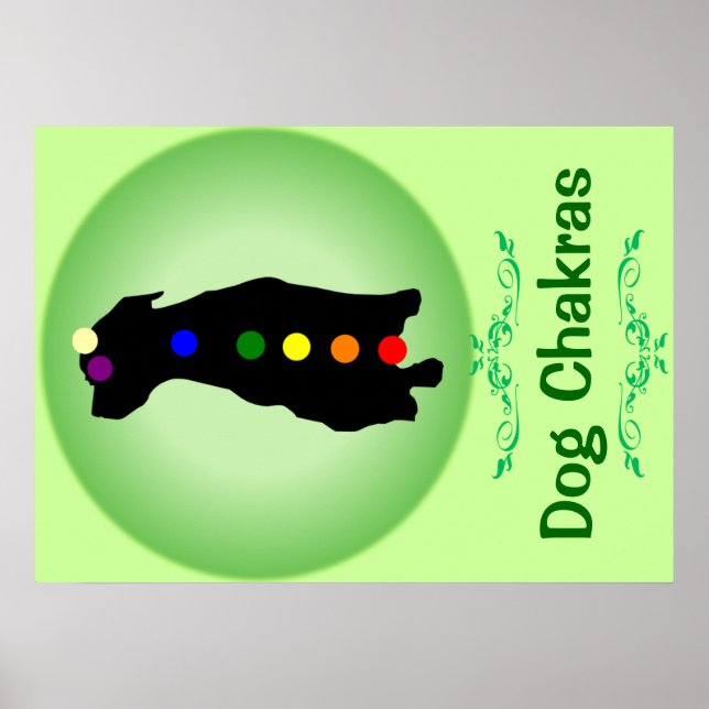 Dog Chakras Poster (Vorne)