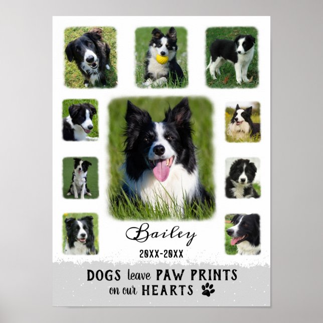 Dog Custom Foto Collage verblasste Grenzen Weiß Gr Poster (Vorne)