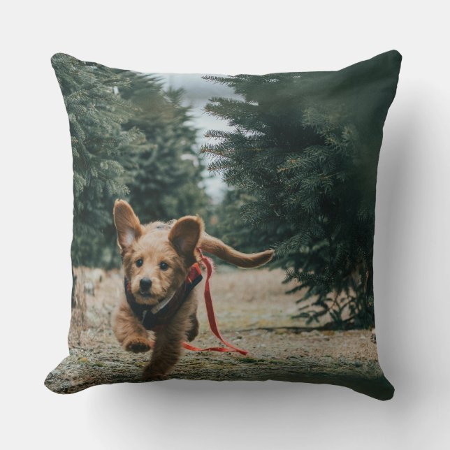 "Dog Days Dreaming" Kissen (Vorderseite)