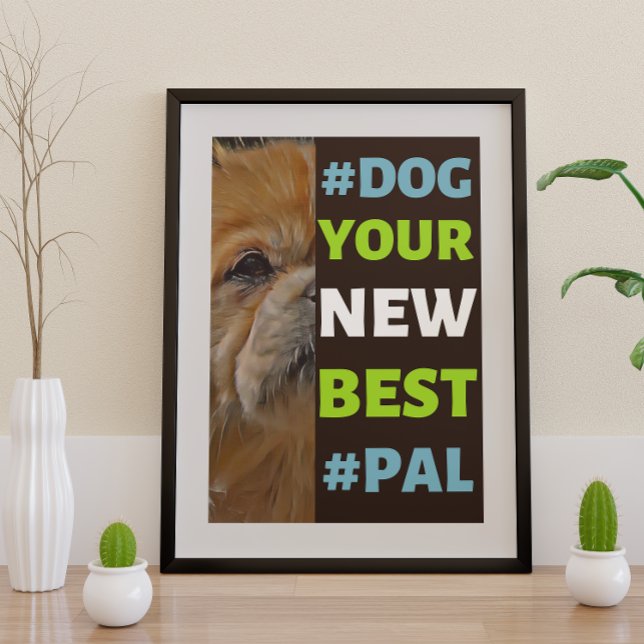 #Dog, dein neuer Bester #Pal ...tibetischer Spanie Poster (Von Creator hochgeladen)