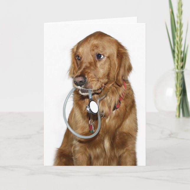 Dog Doc Karte (Vorderseite)