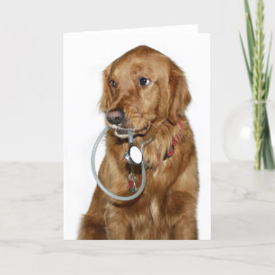 Dog Doc Karte
