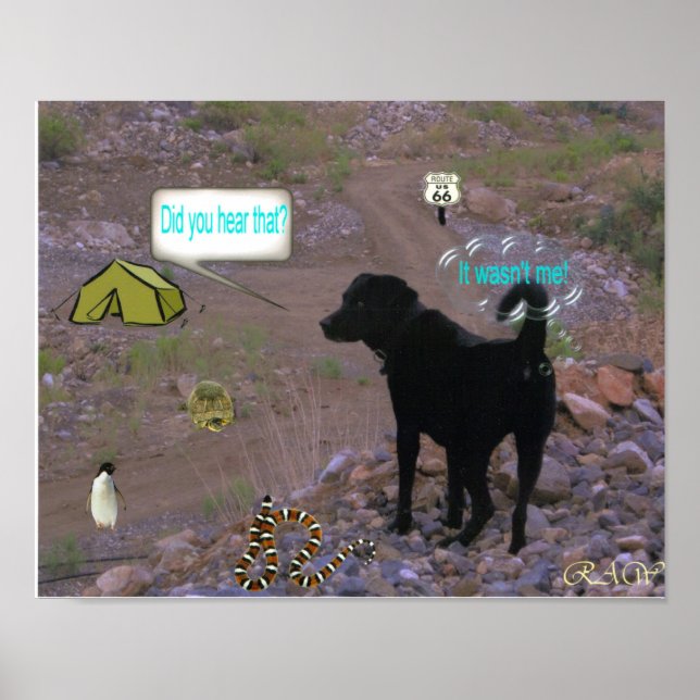 Dog Fart Poster (Vorne)