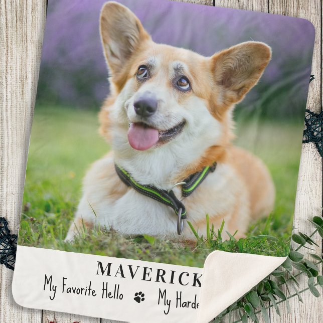 Dog Favorite Hallo Hardest Goodbye Pet Foto Sherpadecke (Von Creator hochgeladen)