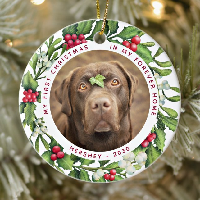 Dog First Christmas Forever Zuhause 2 Foto Mistlet Keramik Ornament (Von Creator hochgeladen)