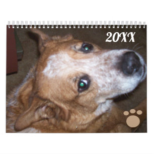 Dog Foto Calendar Ginger Queensland Heeler Kalender