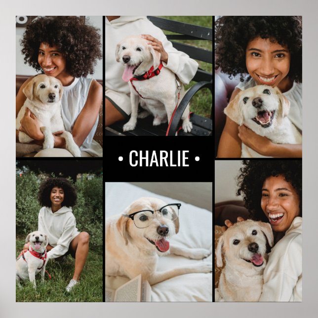 Dog Foto Collage Mit Monogramm Poster (Vorne)