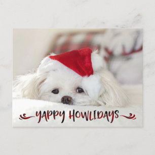 Dog Foto Red Buffalo Karo Script YAPPY HOWLIDAYS Feiertagspostkarte