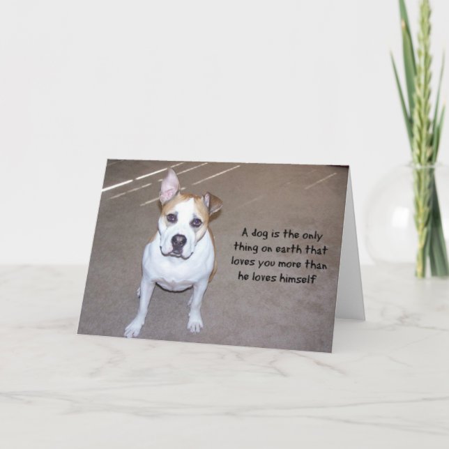 Dog-Fotokarte Karte (Vorderseite)